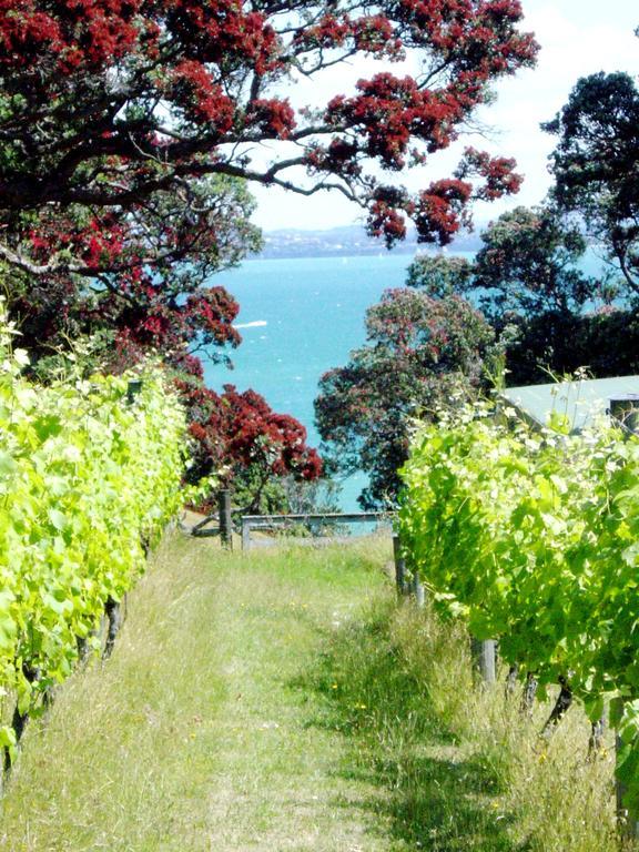 Waiheke Island Vineyard Holiday Houses Surfdale Exteriér fotografie